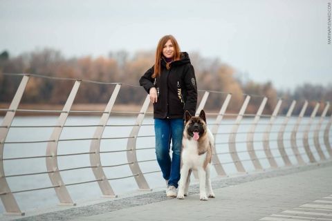 Як американська акіта змінить твоє життя ?