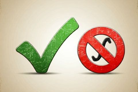 Плюси і мінуси породи американська акіта