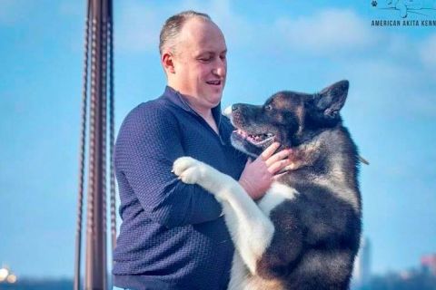 Акіта вибере тебе сама.