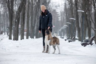 Winterrahills Florance