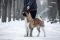 Winterrahills Florance
