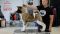 Puppy № 24 Flame Strider in Diversity