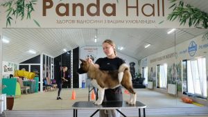 Puppy № 21 Eva Strider in Diversity
