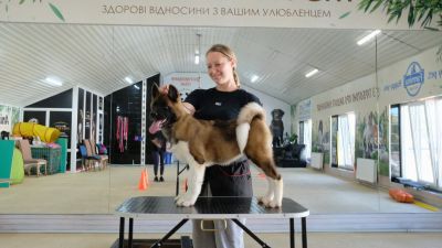 Цуценя № 21 Eva Strider in Diversity